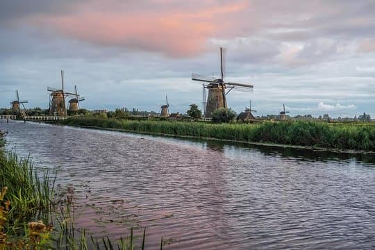 Discover the Dutch countryside & windmills with a private guide