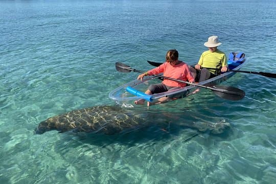 Guided Clear Kayak Eco-Tour of Jupiter