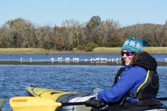 Sandhill Crane Kayak Tour with Chattanooga Guided Adventures